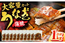 刻み鰻個食パック 計1kg（100g×10P） 広川町 / イールファクトリー株式会社 [AFBS001]