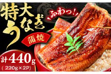 特大蒲焼（220g×2尾） 広川町 / イールファクトリー株式会社 [AFBS005]