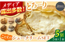 【5個】9ream（クリーム） こだわりシュークリームSET 5個 広川町 / イートウェル株式会社 [AFAK304]