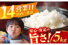 広川の輝き お米 5kg （5kg×1袋）　広川町 / 株式会社カネガエ [AFBD008]