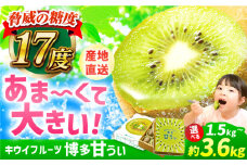 【★先行予約★　2025年11月上旬以降発送】福岡県ブランド! キウイフルーツ 博多甘うぃ 約3.6kg キウイ きうい あまうぃ 果物 くだもの フルーツ ギフト 甘い 果肉 果実 ビタミンC 博多 広川町 / JAふくおか八女農産物直売所どろや [AFAB013]
