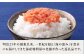 明太子 辛子明太子 チューブ 博多 500g
