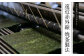 焼き海苔 ノリ のり 板のり おにぎり ごはんのお供