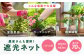 園芸用 農業 ネット 遮光ネット 日よけ