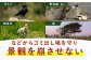 ゴミ ゴミ置き場 ごみステーション ゴミガード ネット 防鳥