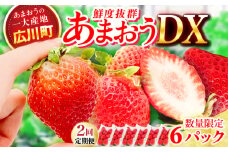 【2回定期便】博多あまおう 3ケース（270g×6P）　広川町 / JAふくおか八女農産物直売所どろや [AFAB080]