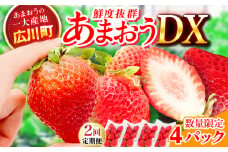【2回定期便】博多あまおう 2ケース（270g×4P）　広川町 / JAふくおか八女農産物直売所どろや [AFAB079]