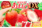 果物 あまおうDX等級。いちご イチゴ 苺