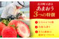 果物 あまおうDX等級。いちご イチゴ 苺
