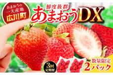 【3回定期便】博多あまおう 1ケース（270g×2P）いちご 苺 イチゴ ふるーつ くだもの フルーツ 果物 旬 福岡県産 小分け 広川町 / JAふくおか八女農産物直売所どろや [AFAB019]