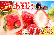 【2回定期便】 あまおうG等級 1ケース（270g×2パック） 広川町 / JAふくおか八女農産物直売所どろや [AFAB083]