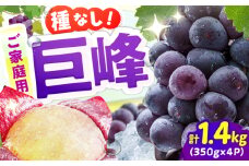 【★先行予約★ 2025年7月下旬より発送】【ご家庭用】種無し巨峰　約350g×4パック 果物 くだもの ぶどう ブドウ　広川町 / JAふくおか八女農産物直売所どろや [AFAB086]