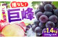 果物 くだもの ブドウ ぶどう 葡萄 巨峰