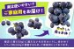 果物 くだもの ブドウ ぶどう 葡萄 巨峰