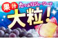 果物 くだもの ブドウ ぶどう 葡萄 巨峰