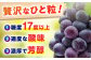 果物 くだもの ブドウ ぶどう 葡萄 巨峰