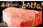 肉 和牛 ヒレ フィレ ヘレ ステーキ