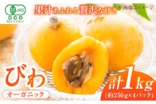 【★先行予約★ 2026年4月末発送開始】びわ 約250g(4～7個)×4パック 枇杷 ビワ フルーツ 果物 くだもの 果実 旬 デザート 甘い 小分け びわ 広川町 / JAふくおか八女農産物直売所どろや [AFAB002]