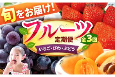 【★先行予約★　2026年2月発送開始】【3回定期便】フルーツ定期便パート2 (いちご/びわ/ぶどう) イチゴ ビワ ブドウ くだもの フルーツ ふるーつ 広川町 / JAふくおか八女農産物直売所どろや [AFAB008]