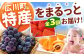 果物 フルーツ定期便。いちご びわ ぶどう