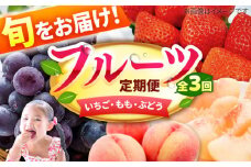 【★先行予約★　2026年2月発送開始】【3回定期便】3回コース いちご もも ぶどう 巨峰 ピオーネ イチゴ 桃 ブドウ くだもの フルーツ 広川町 / JAふくおか八女農産物直売所どろや [AFAB010]