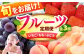 果物 フルーツ イチゴ ブドウ モモ