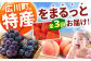 果物 フルーツ イチゴ ブドウ モモ
