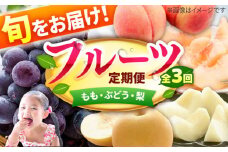 【★先行予約★　2025年6月発送開始】【3回定期便】フルーツ パート4（もも/黒ぶどう/梨） 桃 葡萄 なし くだもの 果汁 冷蔵 甘い デザート 夏果物 食べ比べ 新鮮 旬 広川町 / JAふくおか八女農産物直売所どろや [AFAB020]