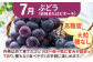 果物 フルーツ定期便 もも ぶどう 梨