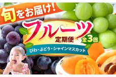 【★先行予約★　2025年4月発送開始】【3回定期便】フルーツ パート5（びわ/黒ぶどう/シャインマスカット） 枇杷 ブドウ ますかっと 果物 くだもの 大粒 果汁 冷蔵 甘い デザート 旬 食べ比べ 新鮮 広川町 / JAふくおか八女農産物直売所どろや [AFAB025]