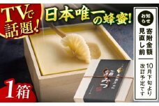 【先行受付 令和7年12月より発送】極箱みつ 400g 蜂蜜 はちみつ ハチミツ 高級 濃厚 バター ハニー クリーム 箱蜜 蜂蜜 広川町 / 株式会社九州蜂の子本舗 [AFAI010]