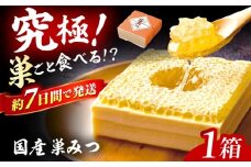 国産巣みつ 300g 蜂蜜 はちみつ ハチミツ コムハニー 極上はちみつ 濃厚ハチミツ 国産蜂蜜 スピード配送 広川町 / 株式会社九州蜂の子本舗 [AFAI004] はちみつ 蜂蜜 ハチミツ/ 株式会社九州蜂の子本舗 [AFAI004] はちみつ 蜂蜜 ハチミツ