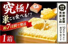 国産巣みつ 300g 蜂蜜 はちみつ ハチミツ コムハニー 極上はちみつ 濃厚ハチミツ 国産蜂蜜 スピード配送 広川町 / 株式会社九州蜂の子本舗 [AFAI004] はちみつ 蜂蜜 ハチミツ/ 株式会社九州蜂の子本舗 [AFAI004] はちみつ 蜂蜜 ハチミツ