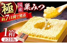 極巣みつ 310g 蜂蜜 はちみつ ハチミツ すみつ 巣蜜 蜂蜜 コムハニー 極上蜂蜜 濃厚蜂蜜 ギフト グリークヨーグルト アサイーボウル パンケーキ ソフトクリーム オシャレ スピード配送 広川町 / 株式会社九州蜂の子本舗 [AFAI007]