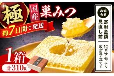極巣みつ 310g 蜂蜜 はちみつ ハチミツ すみつ 巣蜜 蜂蜜 コムハニー 極上蜂蜜 濃厚蜂蜜 ギフト グリークヨーグルト アサイーボウル パンケーキ ソフトクリーム オシャレ スピード配送 広川町 / 株式会社九州蜂の子本舗 [AFAI007]