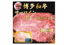 博多和牛サーロインステーキセット 500g(250g×2枚) [a9079] 株式会社Meat Plus ※配送不可：離島【返礼品】添田町 ふるさと納税