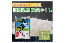 令和6年産 福岡県産元気つくし無洗米5kg(5kg×1) [a7196] 株式会社 藤食糧 【返礼品】添田町 ふるさと納税