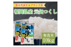 令和6年産 福岡県産元気つくし無洗米10kg(5kg×2) [a7197] 株式会社 藤食糧 【返礼品】添田町 ふるさと納税