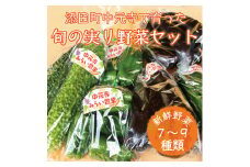 中元寺 旬の実り 野菜 セット(旬の野菜 7～9種類程度) [a9010] 中元寺みらい農業株式会社 ※配送不可：北海道・東北・沖縄・離島【返礼品】添田町 ふるさと納税