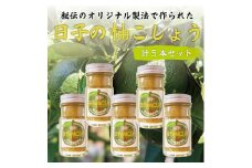 日子の柚こしょう 計5本セット [a9077] 勇商店 【返礼品】添田町 ふるさと納税