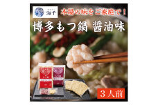 「ご家庭用」博多もつ鍋(醤油味)3人前 [a9384] 株式会社 海千 ※配送不可：離島【返礼品】添田町 ふるさと納税