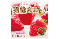 【ふるさと納税】暖家のいちご 完熟あまおう 贈答用2パック S2 [a6406] 社会福祉法人猪位金福祉会 暖家の丘 ※配送不可：北海道・沖縄・離島【返礼品】添田町 ふるさと納税