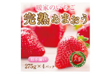 【ふるさと納税】暖家のいちご 完熟あまおう 4パック(形不揃い) A4 [a6407] 社会福祉法人猪位金福祉会 暖家の丘 ※配送不可：北海道・沖縄・離島【返礼品】添田町 ふるさと納税