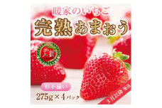 【ふるさと納税】暖家のいちご 完熟あまおう 4パック(形不揃い)  B4 [a6408] 社会福祉法人猪位金福祉会 暖家の丘 ※配送不可：北海道・沖縄・離島【返礼品】添田町 ふるさと納税