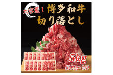 訳あり！博多和牛切り落とし 5kg(500g×10p) [a9446] 株式会社Meat Plus ※配送不可：離島【返礼品】添田町 ふるさと納税