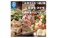 【博多名物】鶏水炊き&もつ鍋2種(醤油味・みそ味)満腹食べくらべ 各2人前(合計6人前)(添田町) [a0506] 株式会社マル五 ※配送不可：離島【返礼品】添田町 ふるさと納税