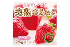 【ふるさと納税】暖家のいちご 完熟あまおう 4パック(形不揃い) A4 [a6549] 社会福祉法人猪位金福祉会 暖家の丘 ※配送不可：北海道・沖縄・離島【返礼品】添田町 ふるさと納税
