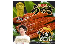 【ふるさと納税】きまぐれクック厳選 うなぎ 国産 3尾 (約600g) 九州産 手焼き 鰻 蒲焼き [a1000] 夏ギフト お中元 【返礼品】福岡県 添田町 ふるさと納税
