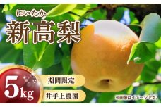 【2025年9月中旬頃から発送予定】 梨 ( 新高 ) 5kg 川崎町産 梨 | 井手上農園 産地直送 梨 5kg 新高梨 なし フルーツ 梨 新高梨 新高 梨 季節限定 梨 数量限定 梨 福岡県 川崎町