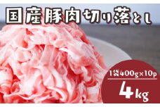 国産 豚肉 スライス 4kg 冷凍 真空 小分け 400g × 10パック 便利 国産 豚 2kg 切り落とし ブタ 肉 スライス 大容量 焼き肉 お肉 家族 ギフト プレゼント 年末 年始 生姜焼き 味噌漬け 肉味噌 豚味噌 焼肉 惣菜 おかず BBQ 夕食 大人気 福岡 川崎